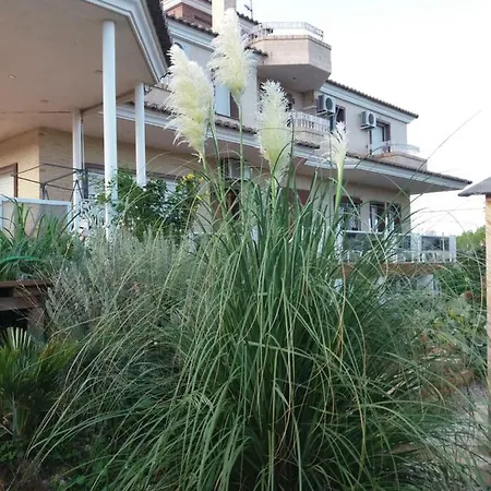 Bed & Breakfast Angeles Piscine Privee Pour 20 Personnes Sant Mateu