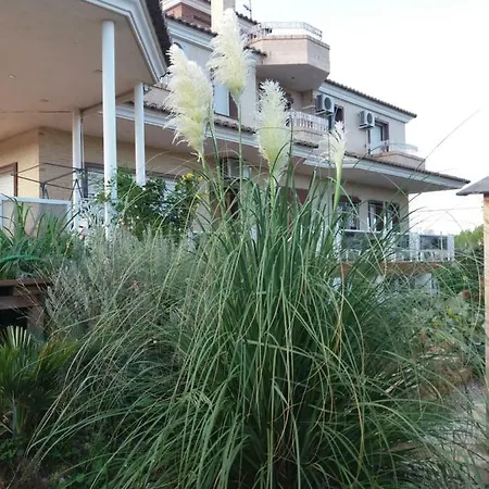 Bed & Breakfast Angeles Piscine Privee 16 Pers Sant Mateu
